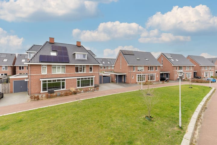 Foto 64 van François Brandthof 8