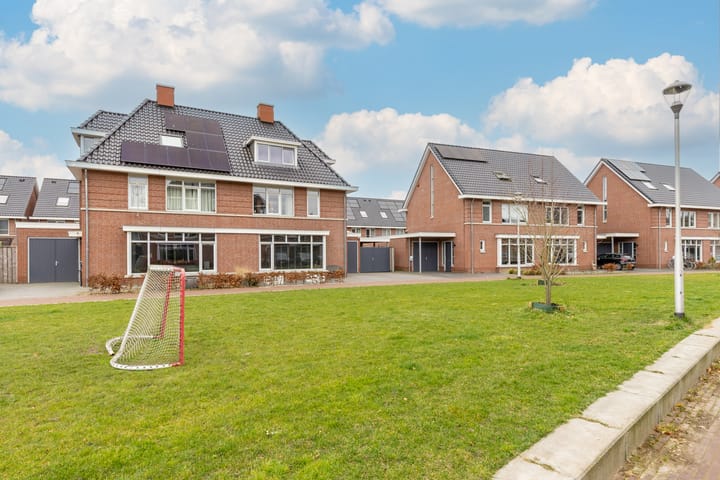 Foto 66 van François Brandthof 8