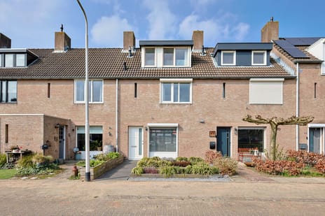 undefined main image