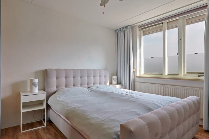 Foto 15 van Anemoon 48