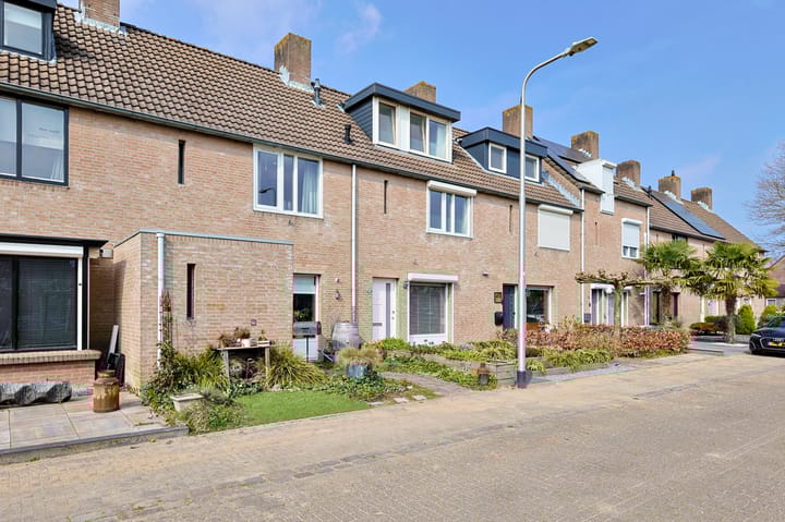 Foto 24 van Anemoon 48