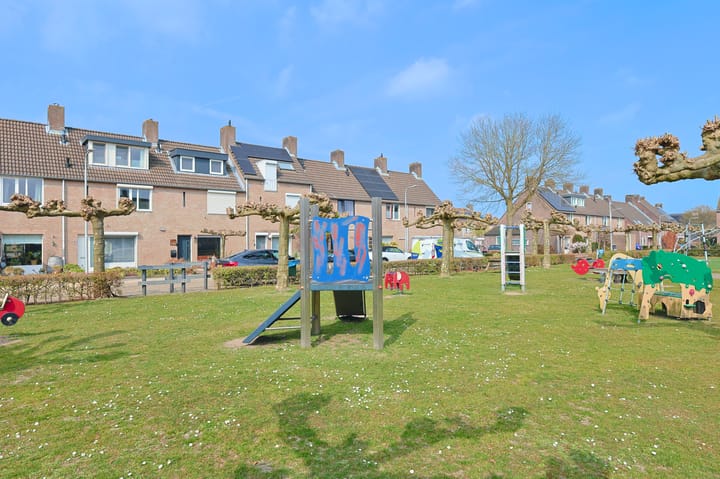 Foto 25 van Anemoon 48