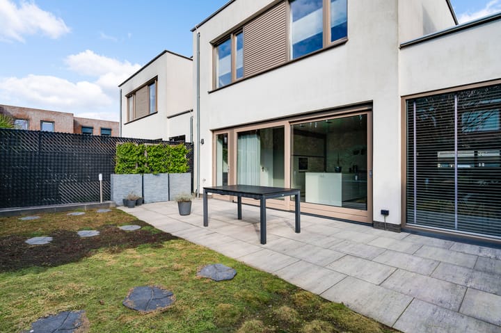 Foto 19 van Pinksterbloem 22