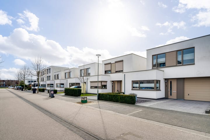 Foto 21 van Pinksterbloem 22