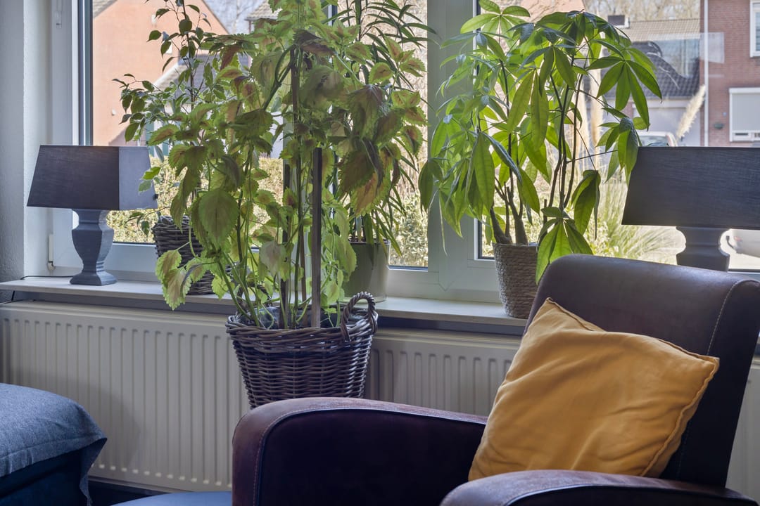 Photo 7 of Faunasingel 62