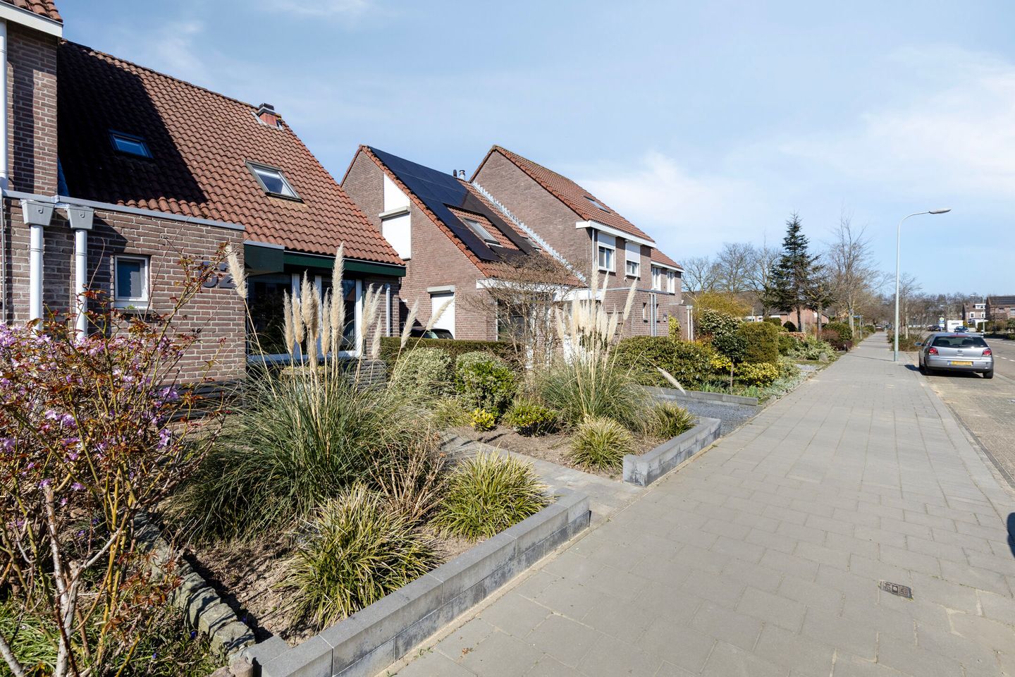 Photo 25 of Faunasingel 62