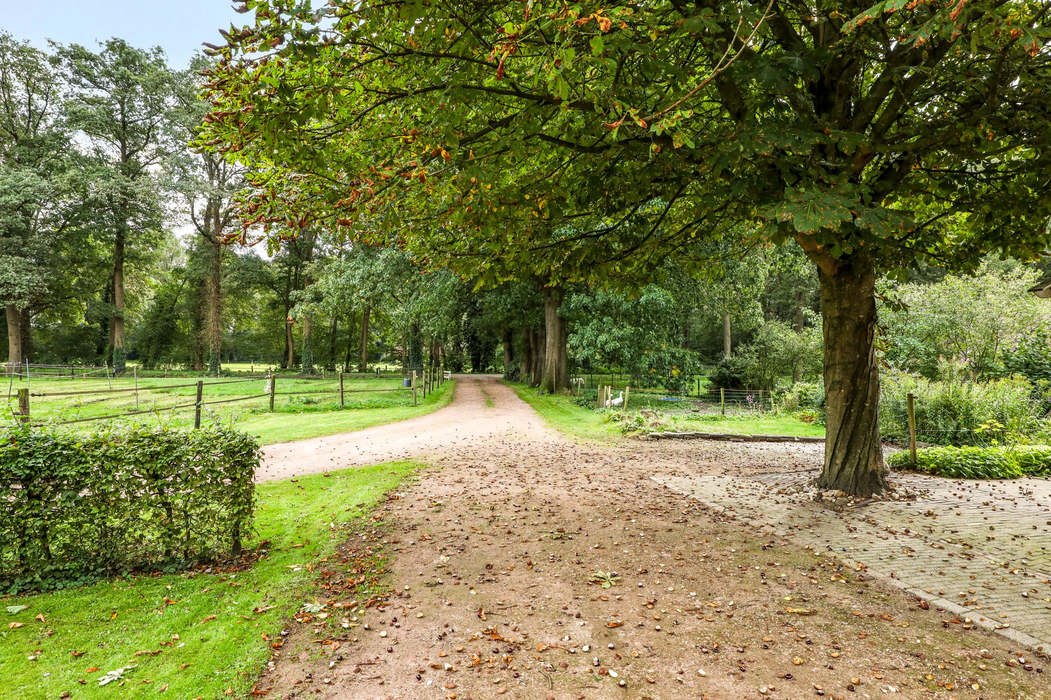 Foto 51 van Wolinkweg 14