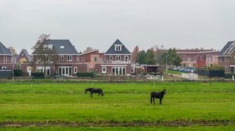 Achtkanter 22 secondary image