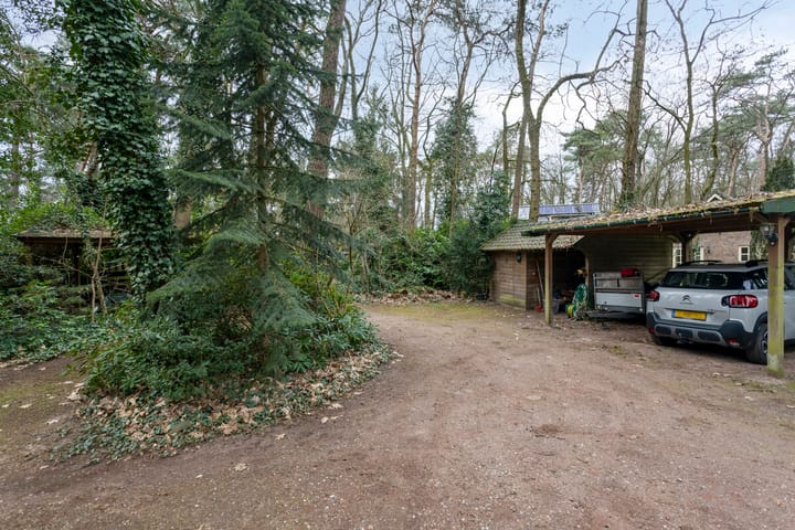 Foto 10 van Veldhaarweg 16-C