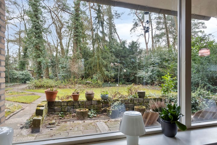 Foto 16 van Veldhaarweg 16-C