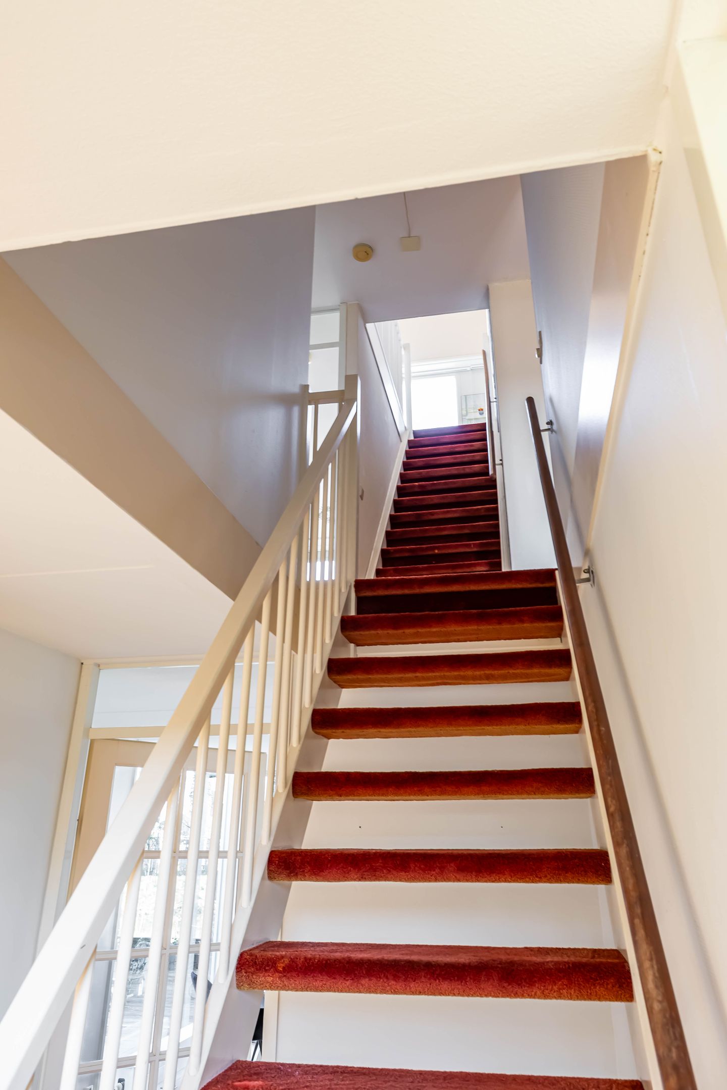 Foto 14 van Tijmpark 12