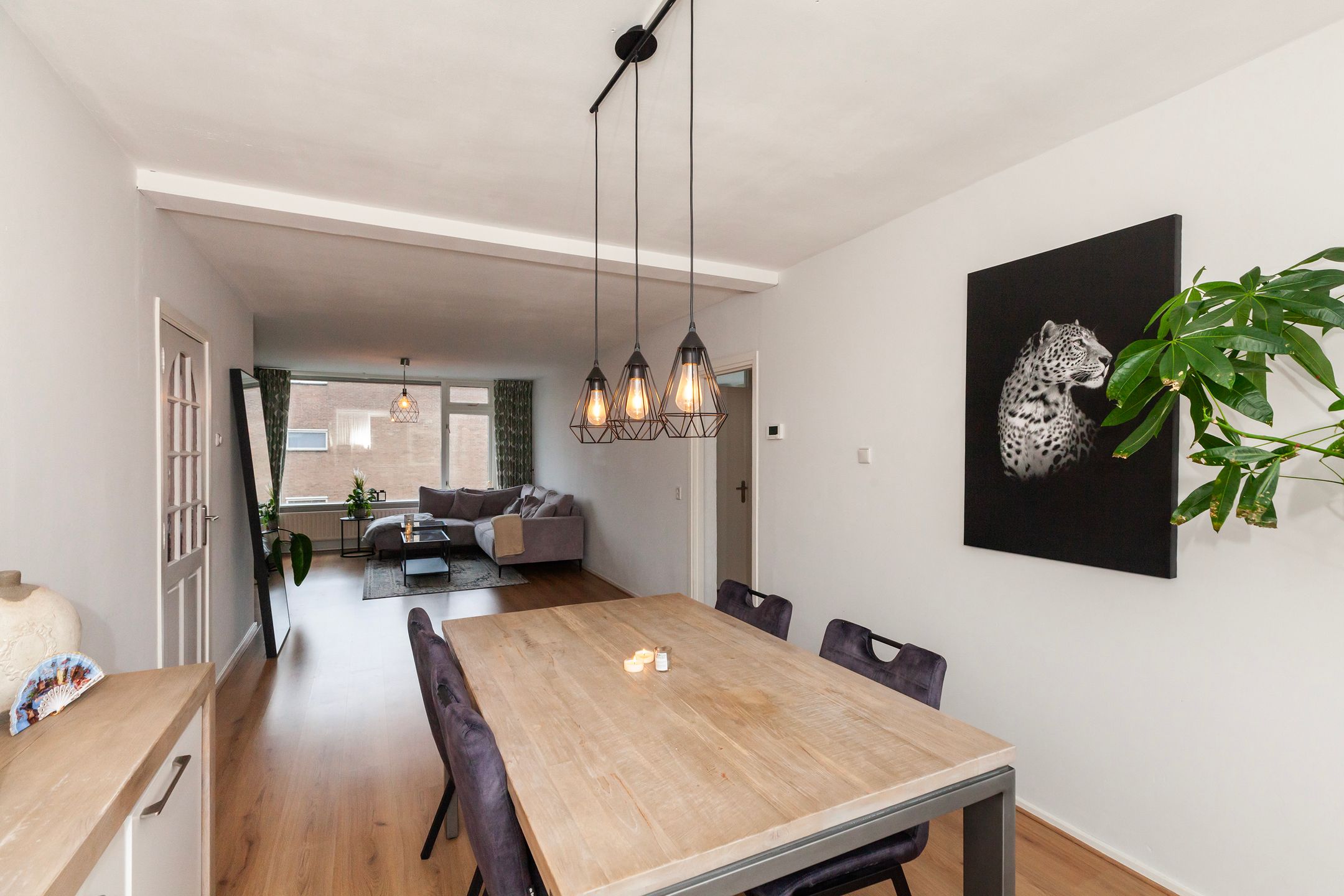 Foto 9 van Pieter de Hoochstraat 70