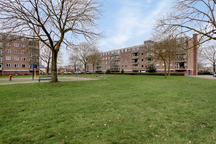 Foto 15 van Maassingel 168