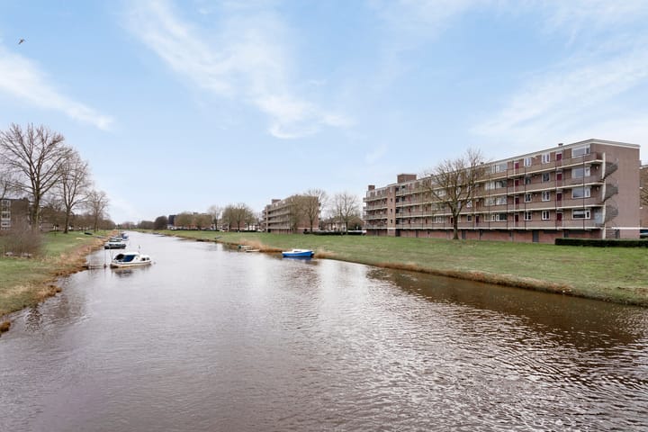 Foto 16 van Maassingel 168