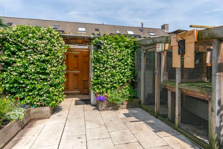 Foto 28 van Afrikalaan 45