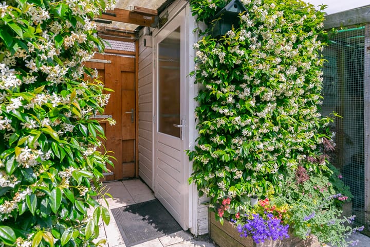 Foto 29 van Afrikalaan 45