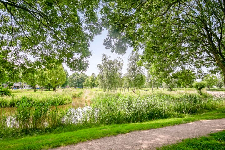 Foto 30 van Afrikalaan 45