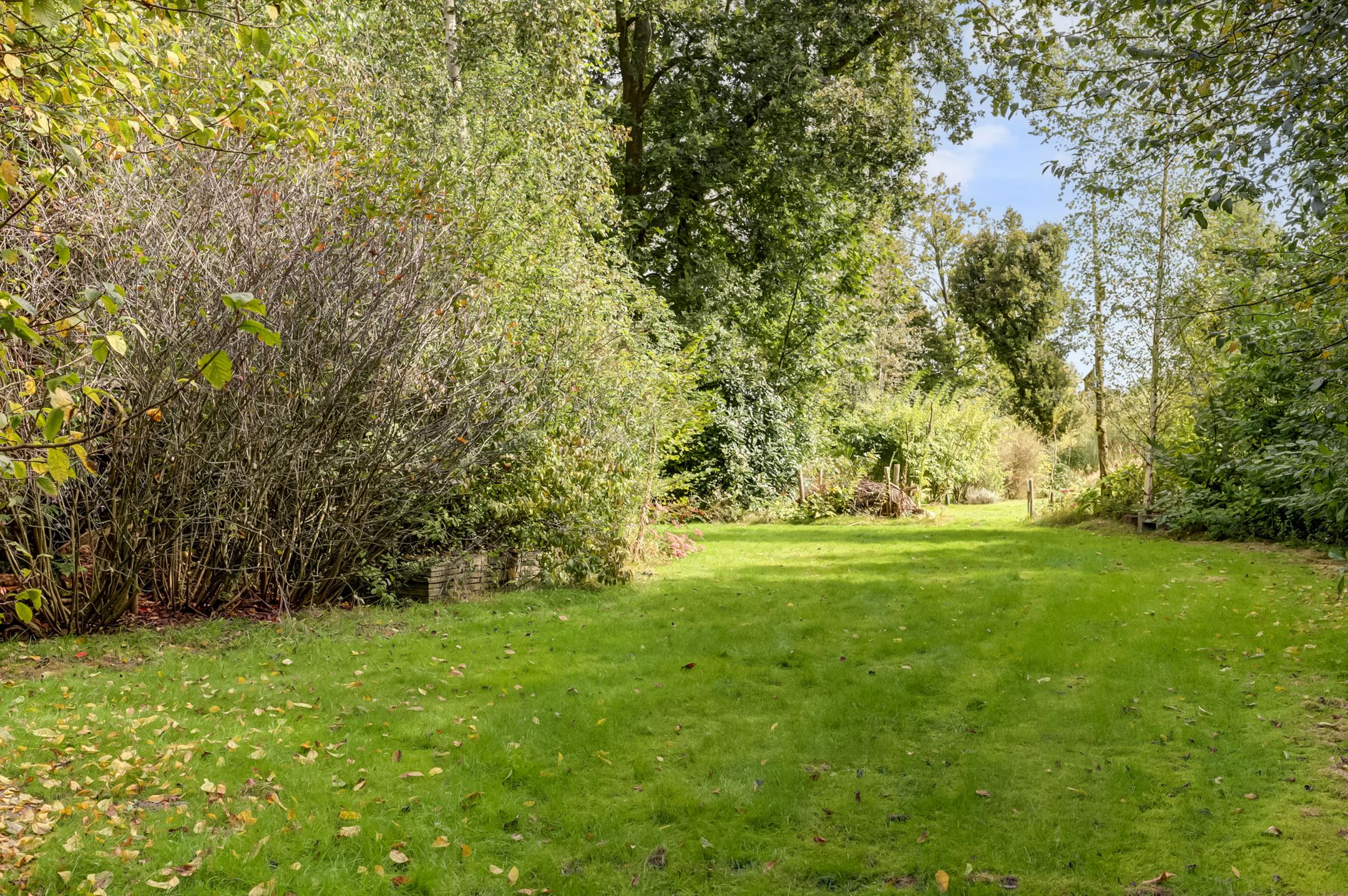 Foto 24 van Wildertstraat 33-11