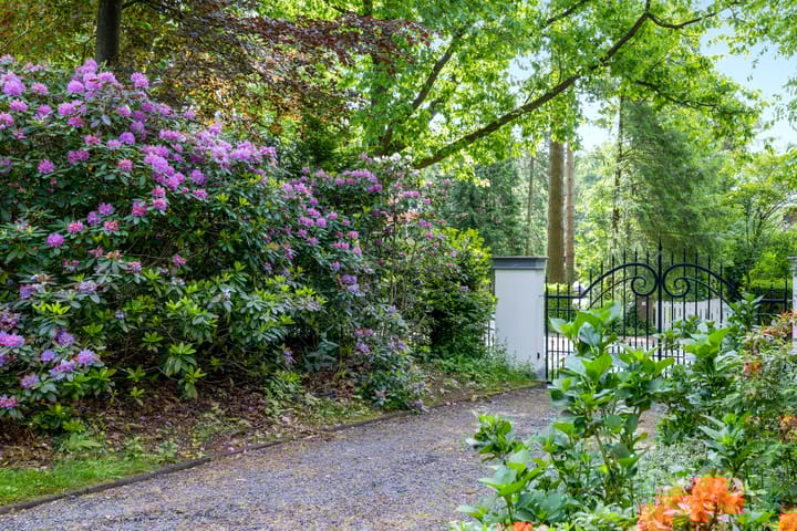 Photo 28 of Baarnseweg 9