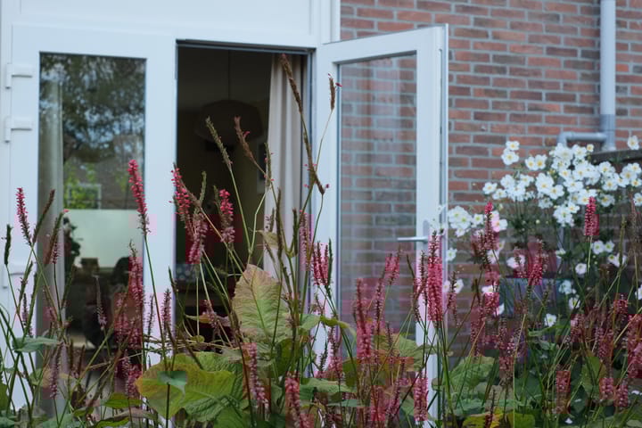 Foto 38 van Dragonstraat 29