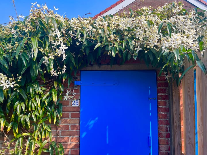 Foto 42 van Dragonstraat 29