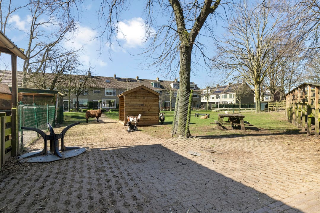 Foto 32 van Bernhardstraat 10