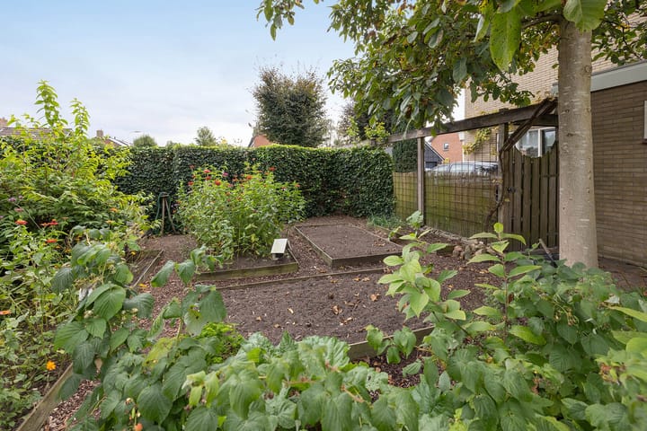 Foto 20 van Dr Frederiksstraat 38