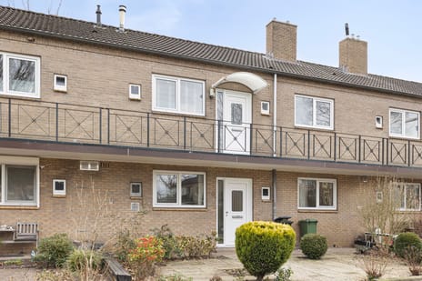 undefined main image