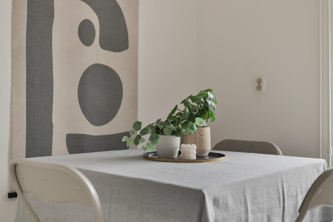 Foto 11 van Frans Halsstraat 11