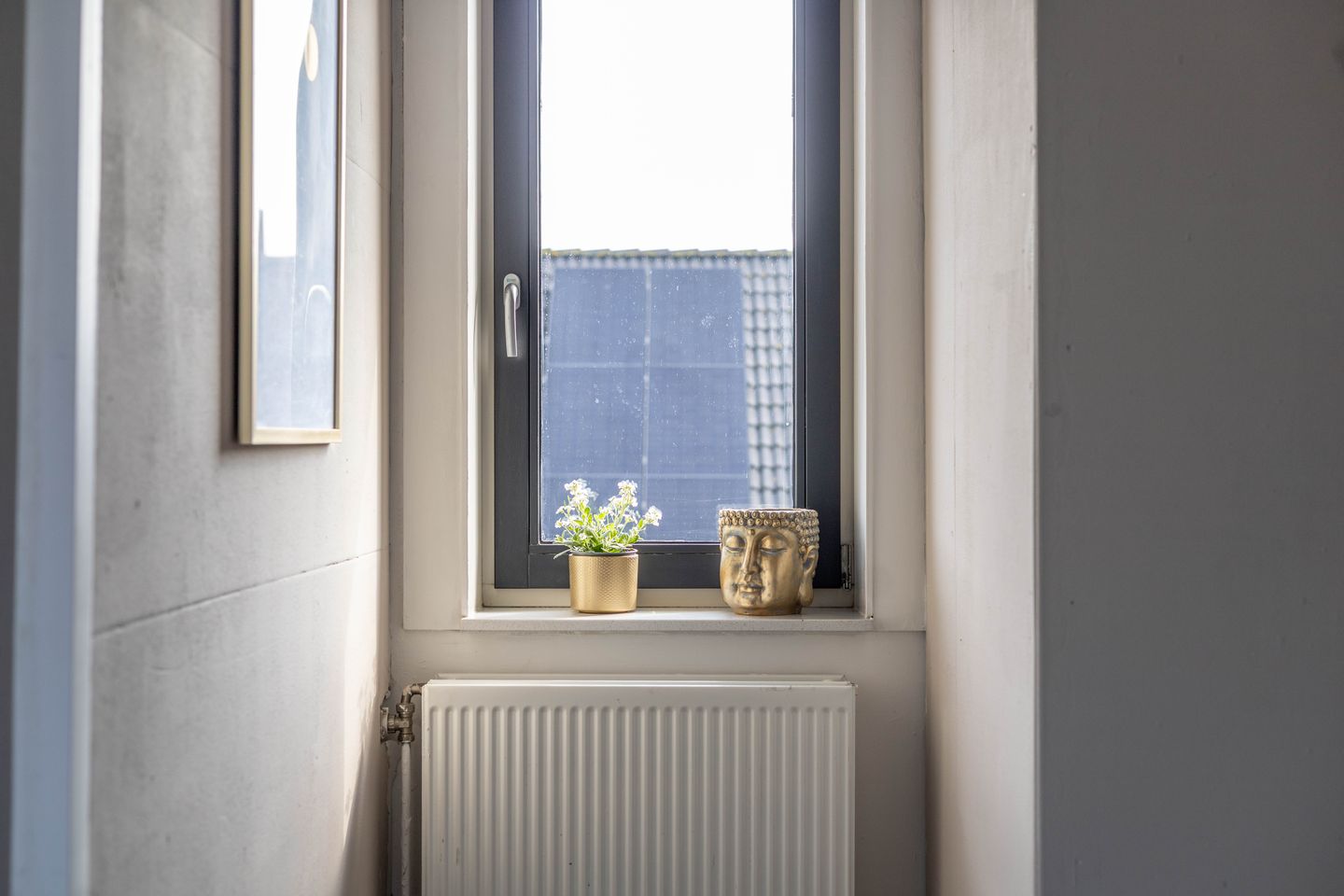 Foto 29 van Kaukasus 65