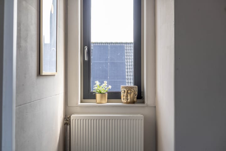 Foto 29 van Kaukasus 65