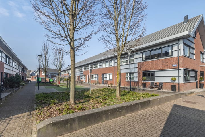 Foto 33 van Kaukasus 65