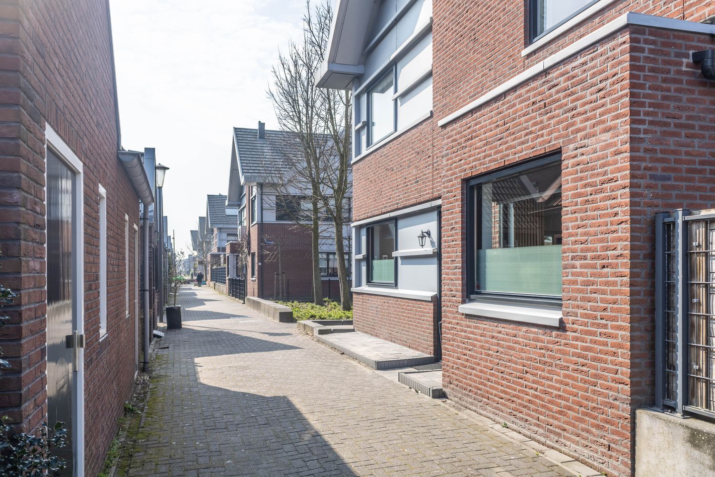 Foto 35 van Kaukasus 65