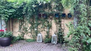 Photo 66 of Ruurloseweg 13