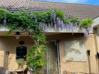 Foto 68 van Ruurloseweg 13