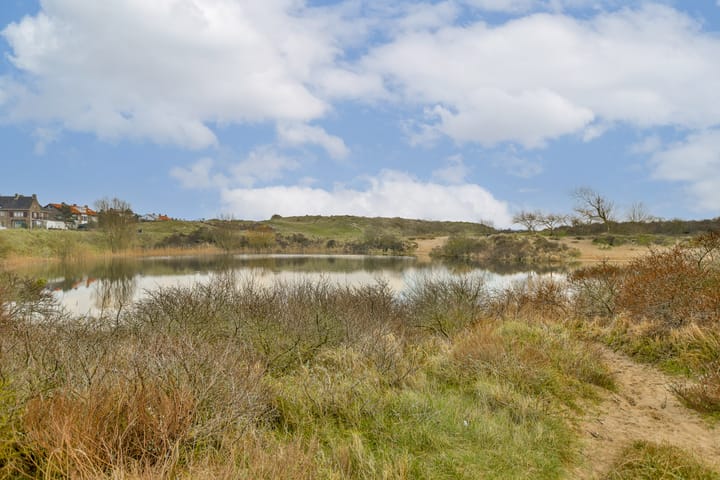 Foto 21 van Hogeweg 54-F12