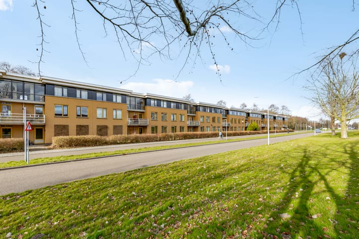 Photo 41 of Voorjaarstraat 18