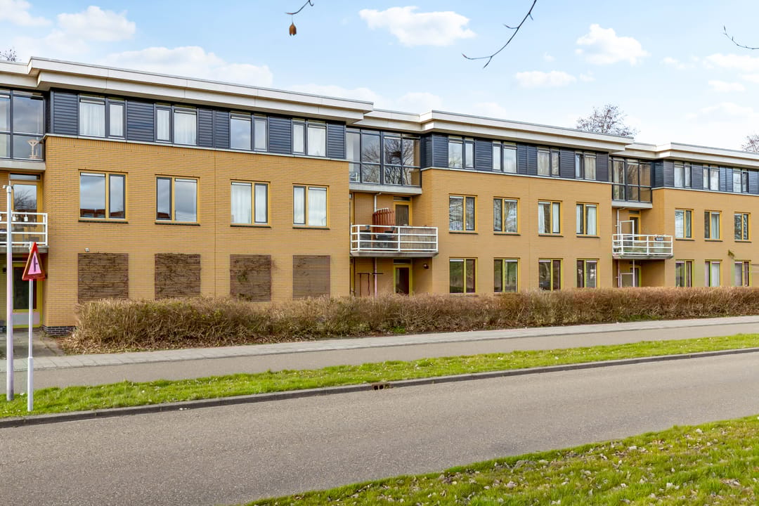 Photo 43 of Voorjaarstraat 18