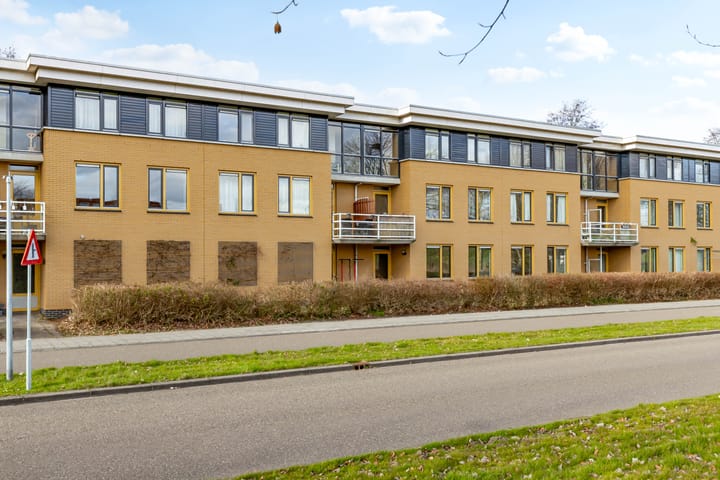 Photo 43 of Voorjaarstraat 18