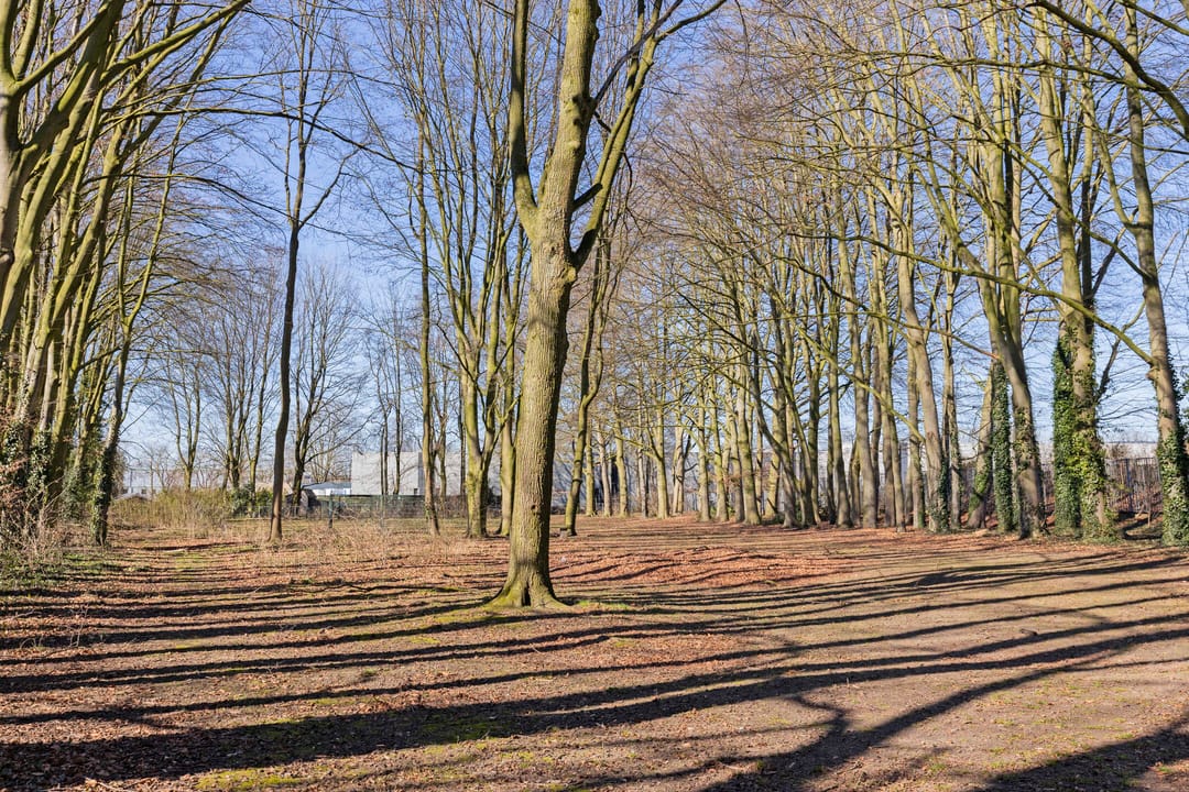 Photo 32 of Eerste Broekdijk 22