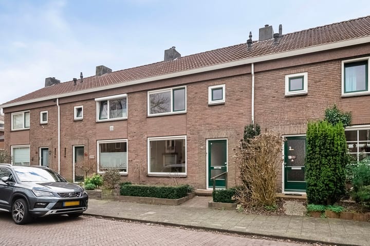 undefined main image