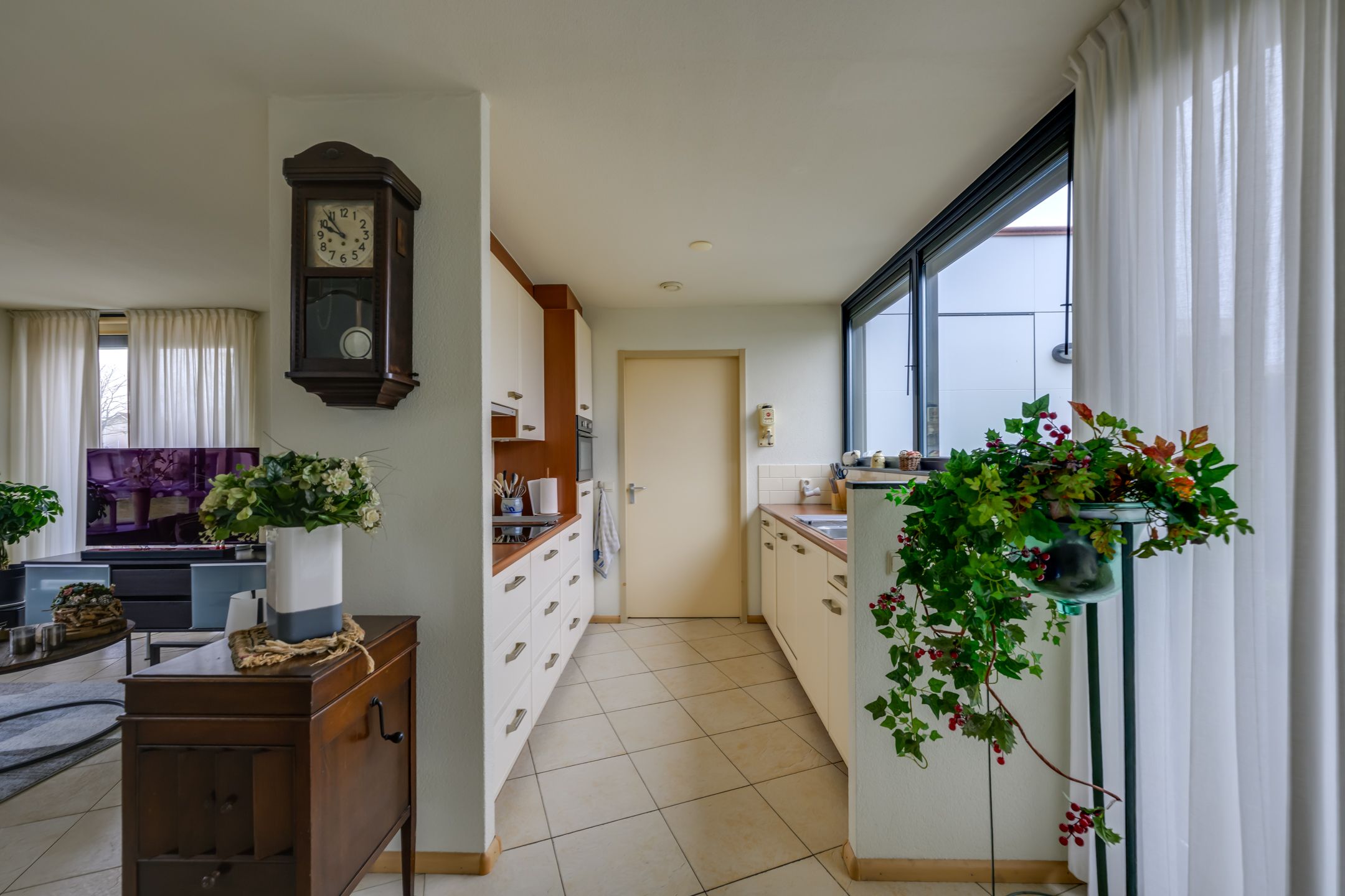 Photo 15 of Zwijnsbergen 7