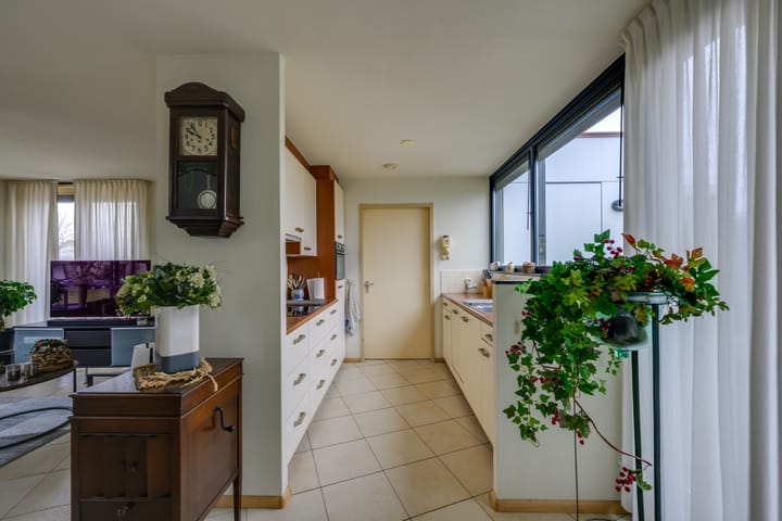 Foto 15 van Zwijnsbergen 7