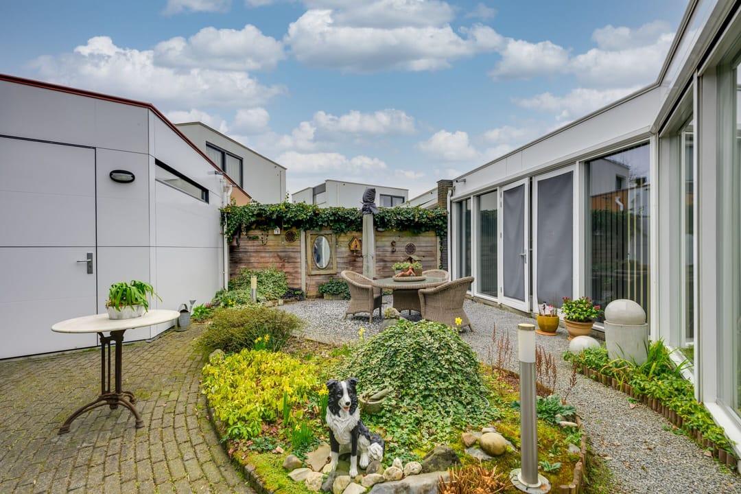 Photo 26 of Zwijnsbergen 7