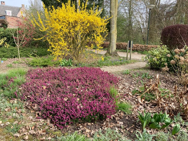 Foto 41 van Korenstraat 123