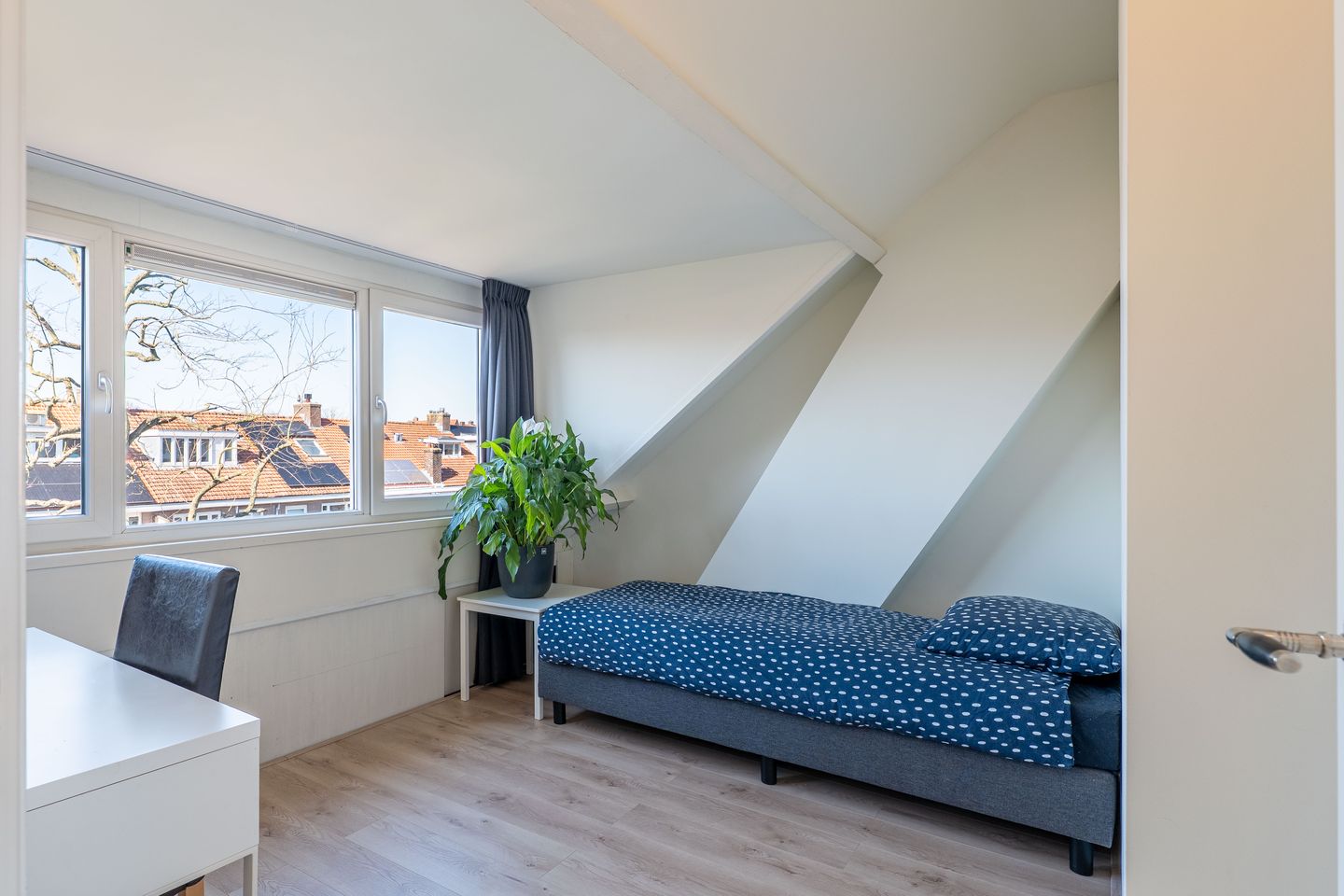 Foto 34 van Jacob van Ruisdaelstraat 97