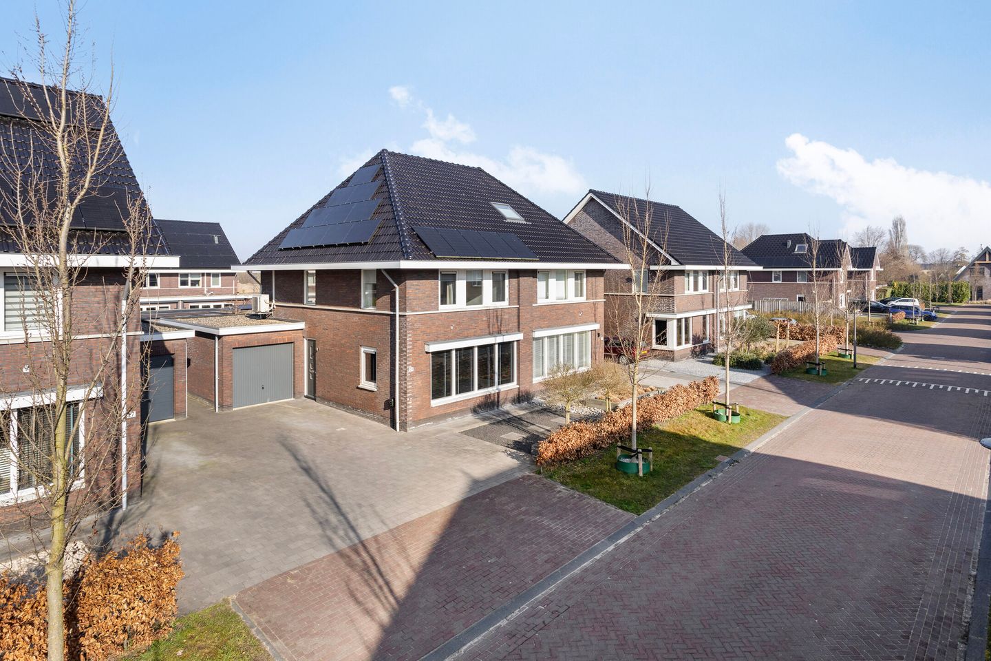 Foto 1 van Berltsumer Wiid 29