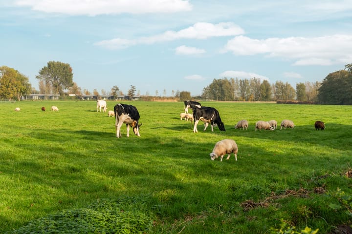 Foto 30 van Willem van Abcoudelaan 13