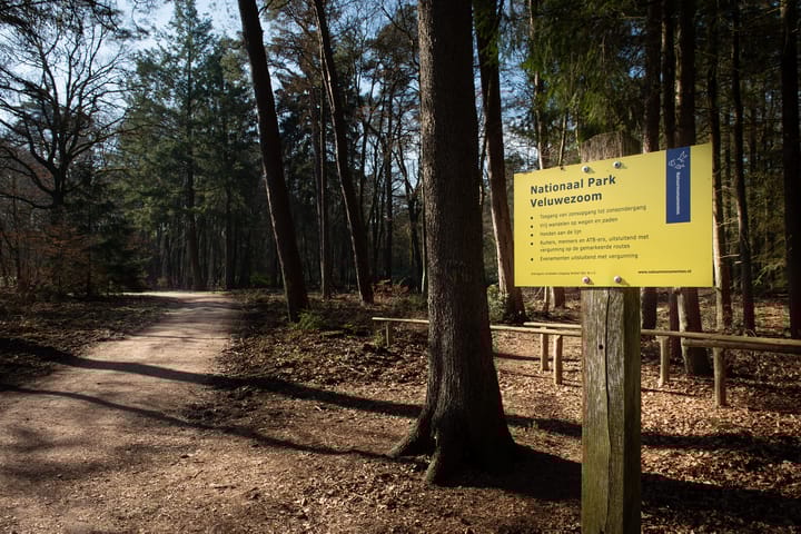 Photo 39 of Badhuislaan 29