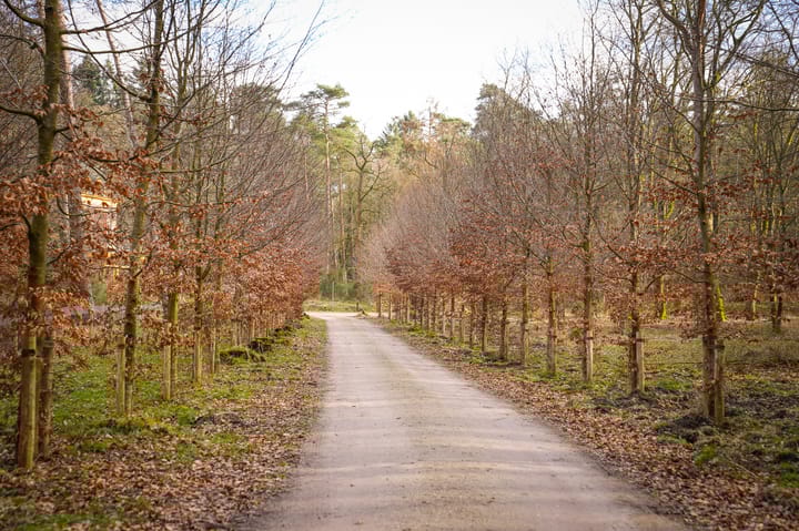 Photo 41 of Badhuislaan 29